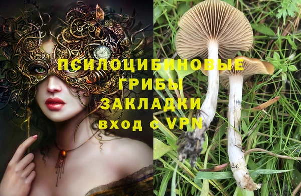 молекула духа Костерёво