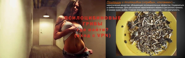 молекула духа Костерёво