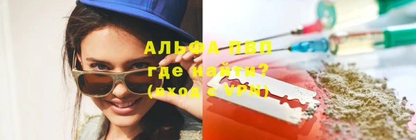 молекула духа Костерёво