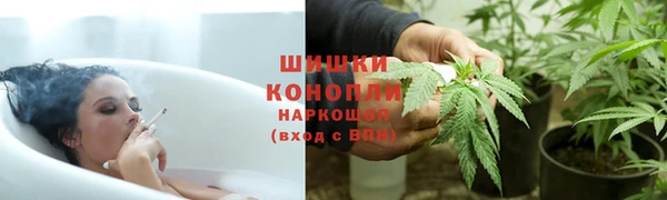 дурь Коряжма