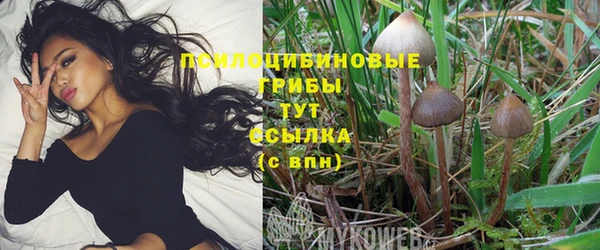 дурь Коряжма