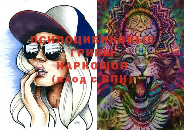 тгк Корсаков