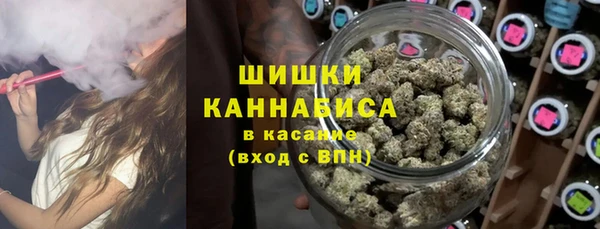 молекула духа Костерёво