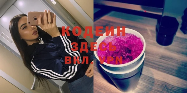 молекула духа Костерёво
