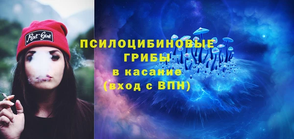 тгк Корсаков