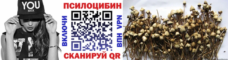 Псилоцибиновые грибы Magic Shrooms  Черепаново 